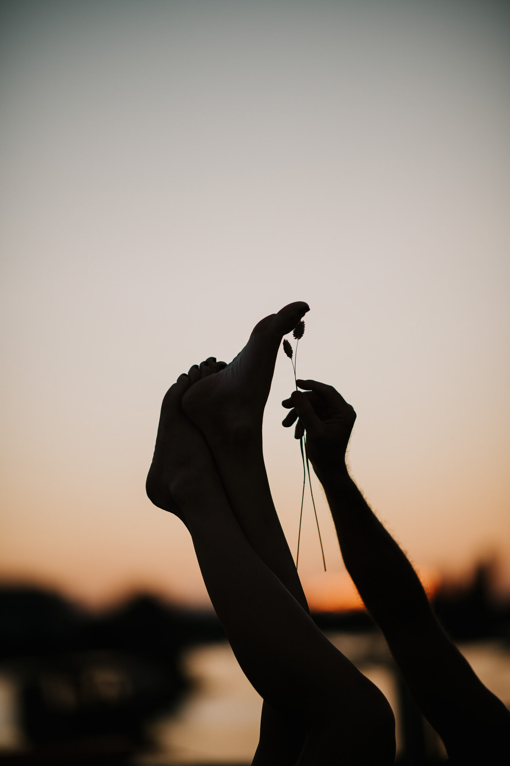 Sinnlich-Beine-Sonnenuntergang-werbung Weibliche Unterschenkel und Füße sind zum Himmel gereckt im Sonnenuntergang, männliche Hand streichelt sie sanft mit Trockenblumen – sinnliches Lifestyle-Werbefoto.