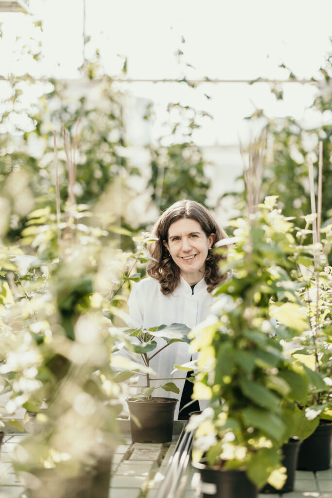Businessportrait von Prof. Dr. Sarah O'Connor im Gewächshaus zwischen Tabakpflanzen, Forschungs- und Businessfotografie