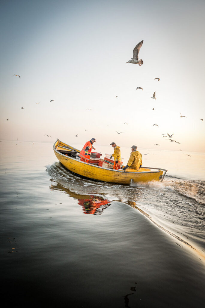 Polnische Aal-Fischer stechen bei Morgengrauen in See, prüfen Aalräusen in ihrem kleinen Boot, Businessfotografie im Zuge einer Businessreportage fotografiert für BEEF! magazin.