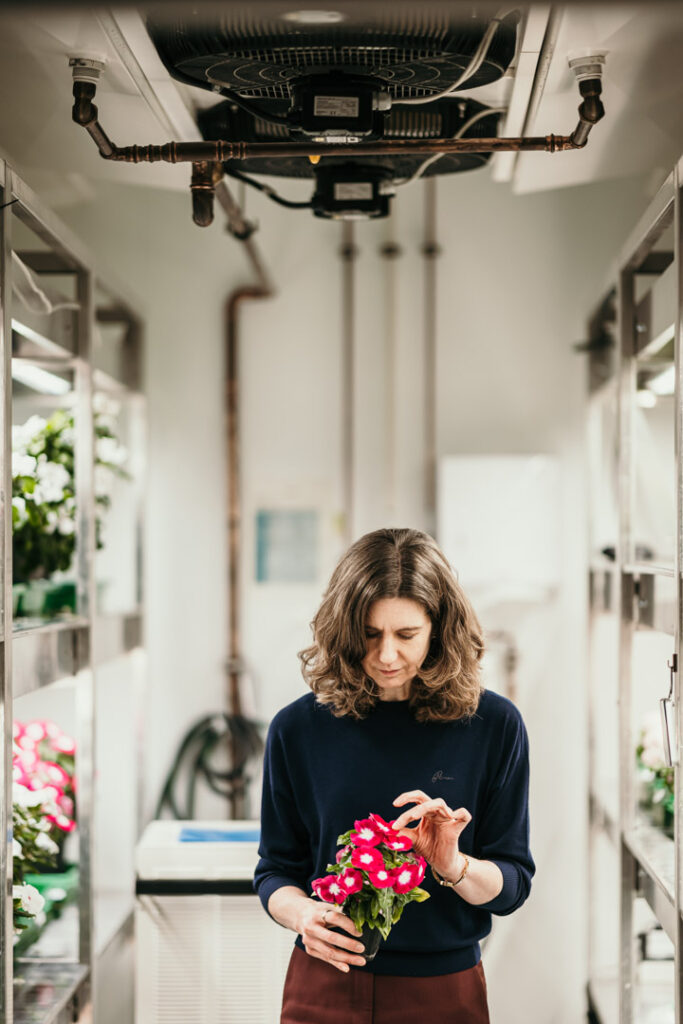 Businessportrait von Prof. Dr. Sarah O'Connor im Gewächshaus am Max-Planck-Institut für Chemische Ökologie in Jena, mit Pflanzen