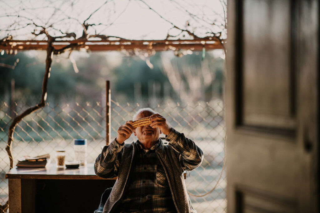 F&B Konzept zeigt einen griechischen Dorfmüller auf dem Peloponnes, der einen Maiskolben prüft – traditionelle Landwirtschaft und authentische Food-Produktion.