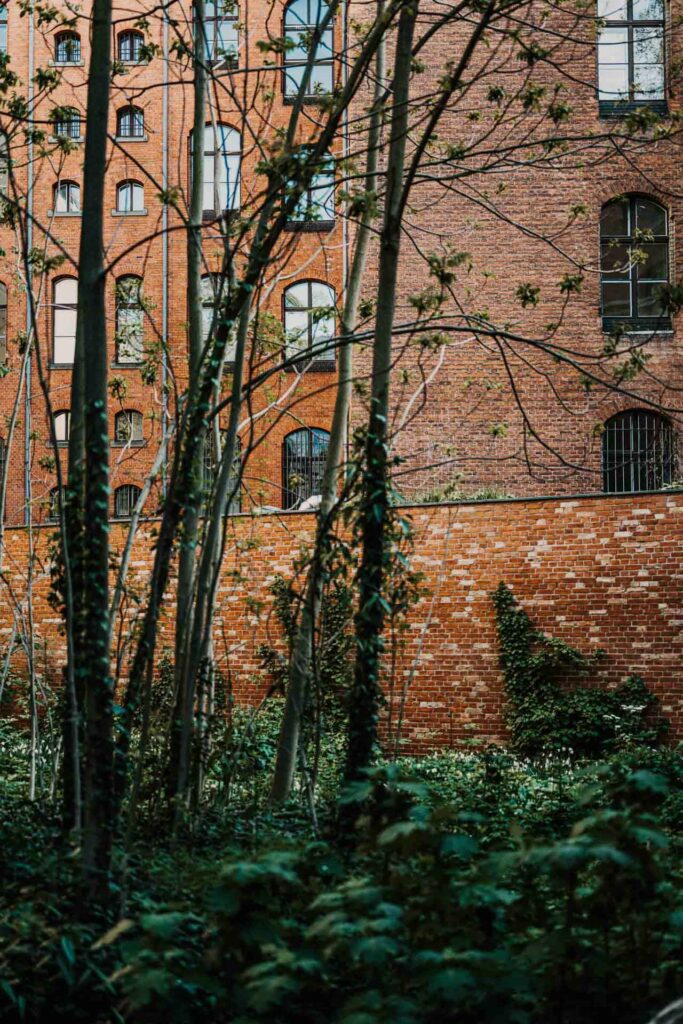 Food Fotograf München zeigt Detailaufnahmen aus dem Hof des Restaurants Lovis in Berlin-Wilmersdorf – authentisches Ambiente und kreative Inszenierung von Starköchin Sophia Rudolph im Hotel Wilmina.