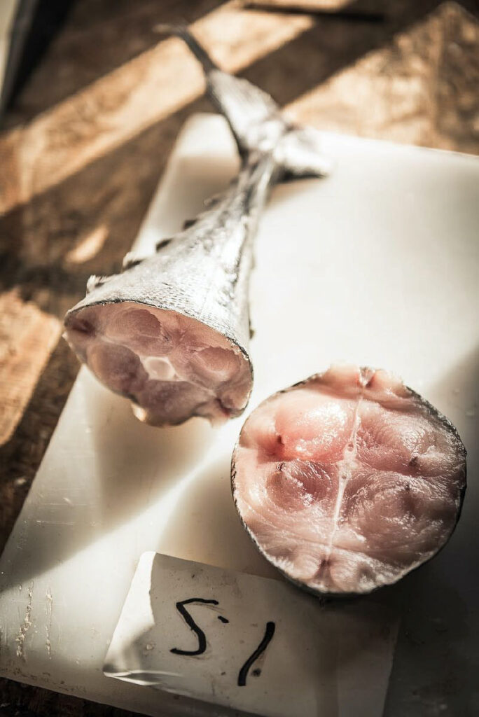 Frisch gefangener Thunfisch wird von Fischerpoeten in Oregon vermessen und für den Verkauf analysiert – authentische Food-Fotografie mit Fokus auf Fischfang und Qualitätskontrolle.