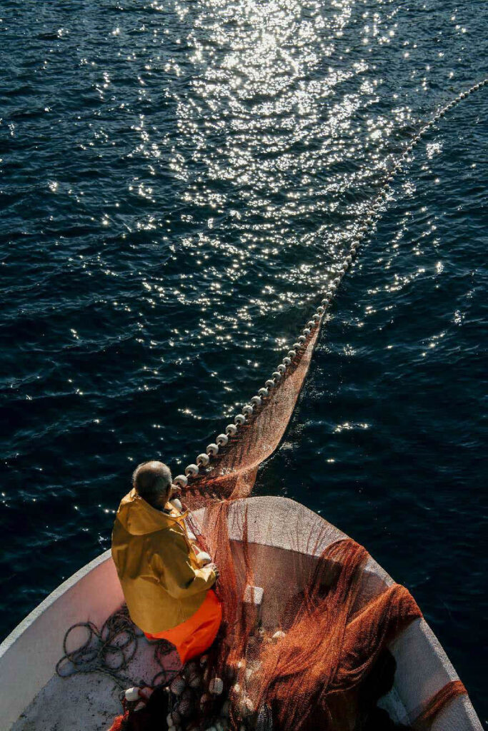 Gastronomie Consulting zeigt einen griechischen Fischer, der Nadelfische nahe der Küste mit einem Netz vom Kutter fischt – authentische Szene traditioneller Fischerei.