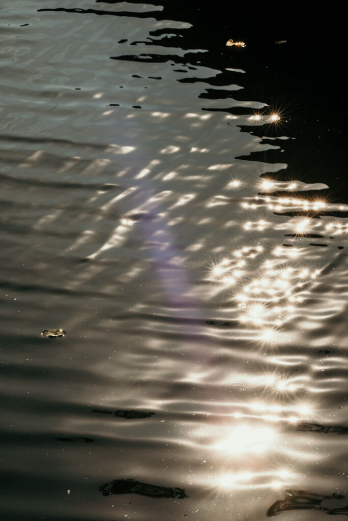Spiegelnde Wasseroberfläche der Spree im Hafen der Hafenküche Berlin – stimmungsvolle Hospitality-Fotografie für visuelle Restaurant- und Hotelkommunikation.