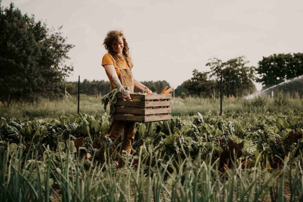 Foodfotografie: Junge Biobäuerin steht im Feld und hält stolz eine Kiste mit frisch geerntetem Gemüse.