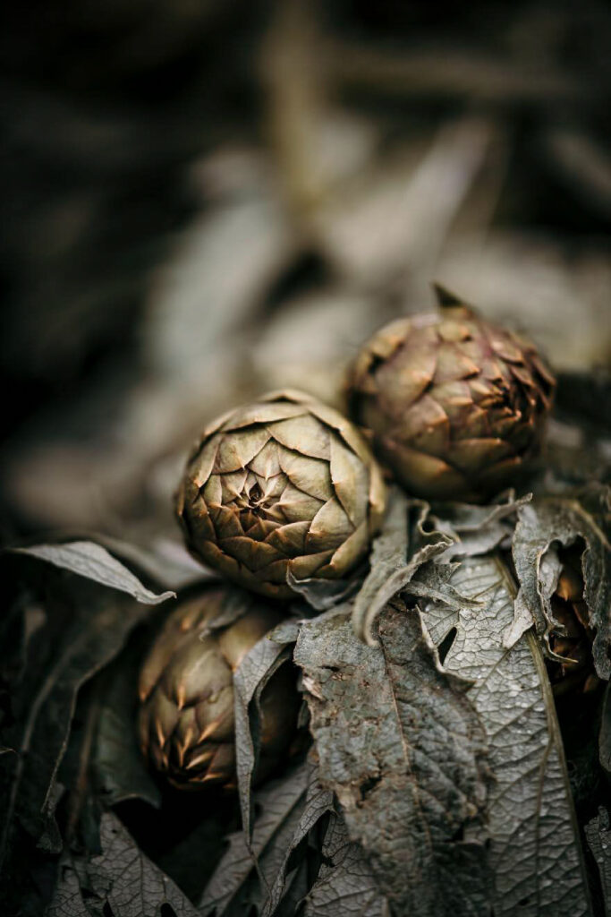 Foodfotograf Berlin zeigt Artischocken auf dem Markt in Palermo, Sizilien – frisches Gemüse in authentischer Marktatmosphäre.