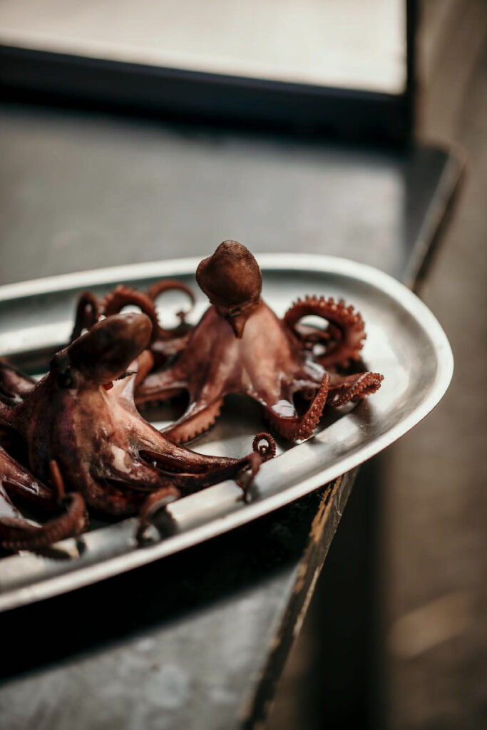 Foodfotograf zeigt gegarten Baby-Oktopus auf Sizilien – frisch zubereitetes Seafood-Gericht im Detail.