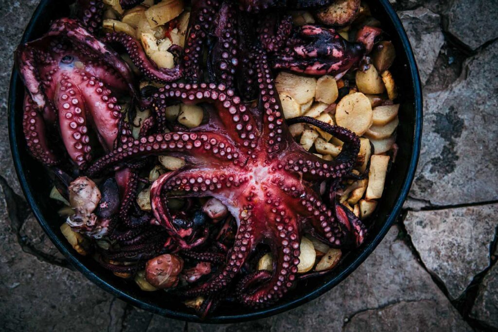 F&B Konzept zeigt, wie ein Oktopus in Kroatien zubereitet wird – frische Meeresfrüchte handwerklich angerichtet.