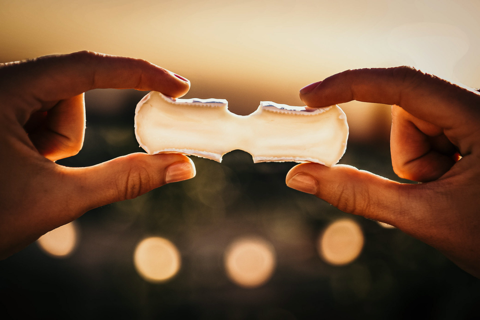 Close-up eines Stücks Geramont-Käse, das von zwei Händen auseinandergezogen wird, um die cremige Textur im Gegenlicht zu zeigen – hochwertiges Werbefoto für Geramont.